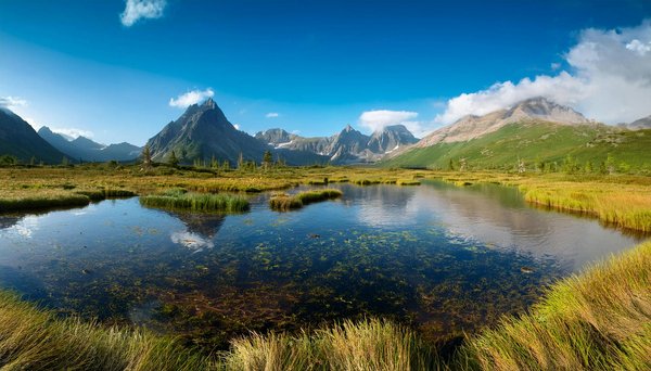 Comment découvrir les marchés artisanaux les plus authentiques en Afrique du Sud?