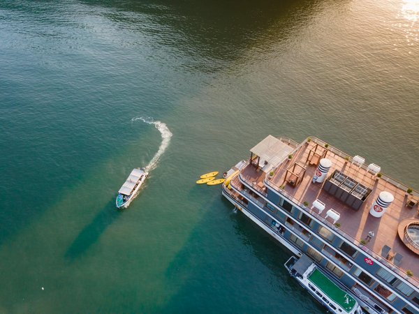 Comment organiser une visite des grottes de Waitomo en Nouvelle-Zélande?